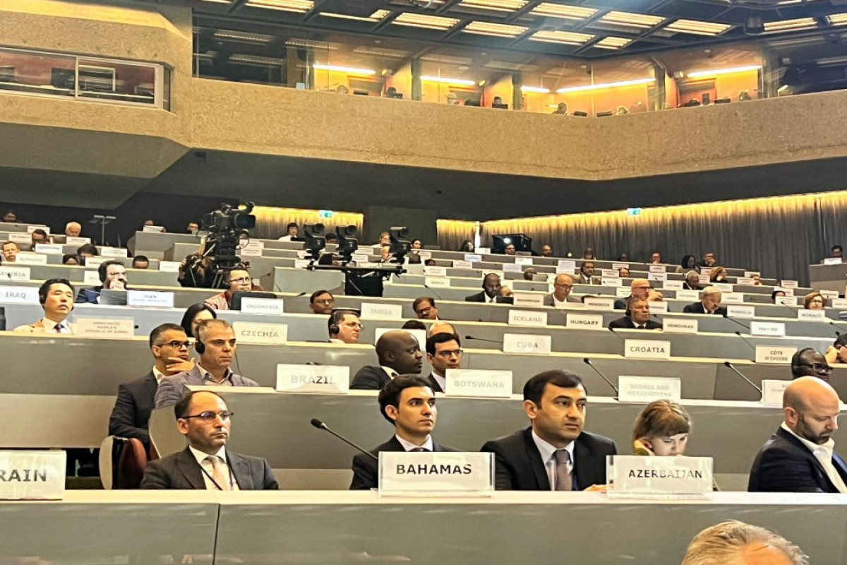 FHN-in nümayəndəsi BMT sessiyasında iştirak edib