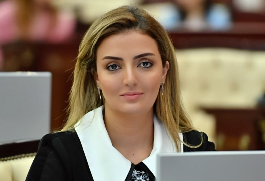 Deputat: Şuşa Bəyannaməsi Azərbaycanla Türkiyə arasında ortaq strateji baxışı müəyyənləşdirdi