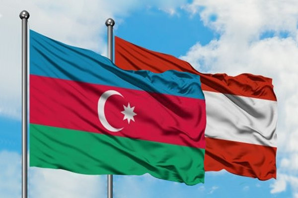Azərbaycan və Avstriya arasında siyasi məsləhətləşmələr keçirilib