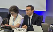 COP29 Prezidentinin nümayəndəsi Bonnda iqlim dəyişikliyinə cavab tədbirlərindən danışıb