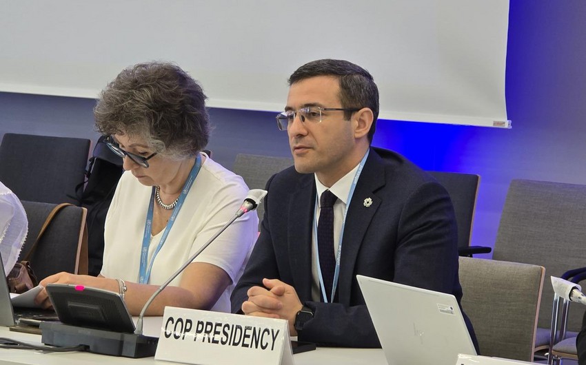 COP29 Prezidentinin nümayəndəsi Bonnda iqlim dəyişikliyinə cavab tədbirlərindən danışıb