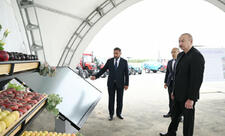 Prezident İlham Əliyev Yevlax pilot aqroparkının açılışında iştirak edib  - YENİLƏNİB
