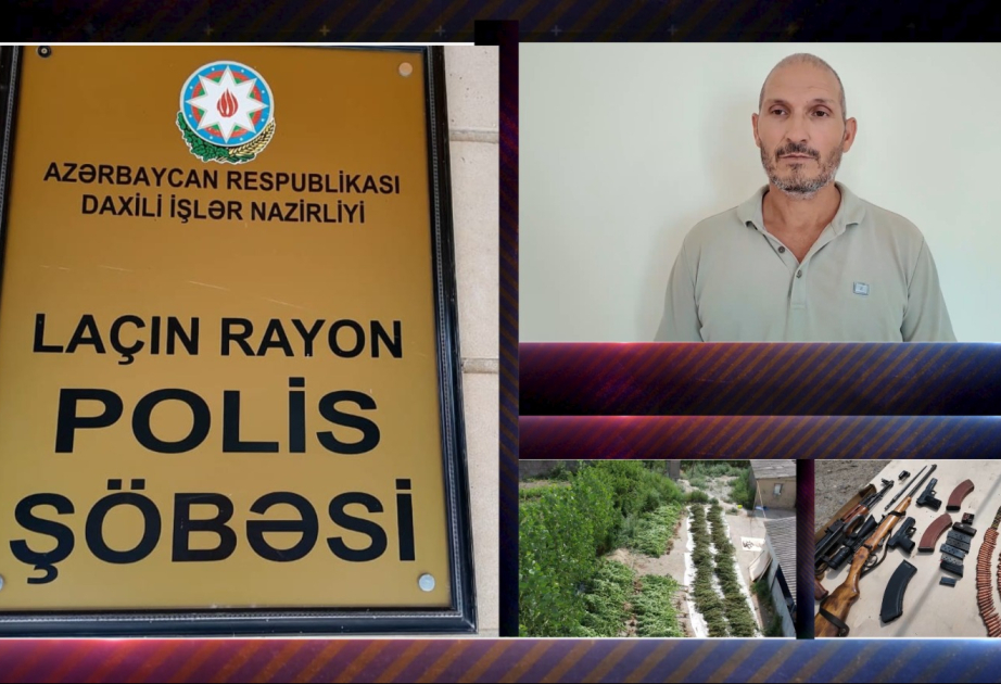 Laçın Rayon Polis Şöbəsindən əməliyyat tədbiri: 300-ə yaxın çətənə bitkisi və silah-sursat aşkarlanıb