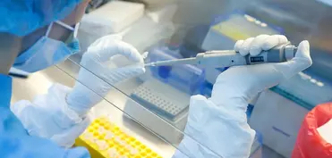 Çindən yeni virus təhlükəsi
