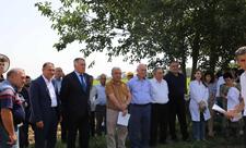 "Günəbaxan bitkisinin becərilməsində yeni texnologiyaların tətbiqi” mövzusunda tarla seminarı keçirilib