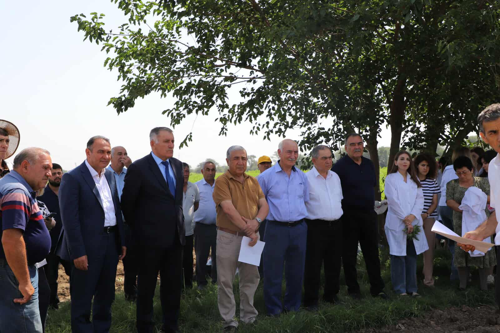 "Günəbaxan bitkisinin becərilməsində yeni texnologiyaların tətbiqi” mövzusunda tarla seminarı keçirilib