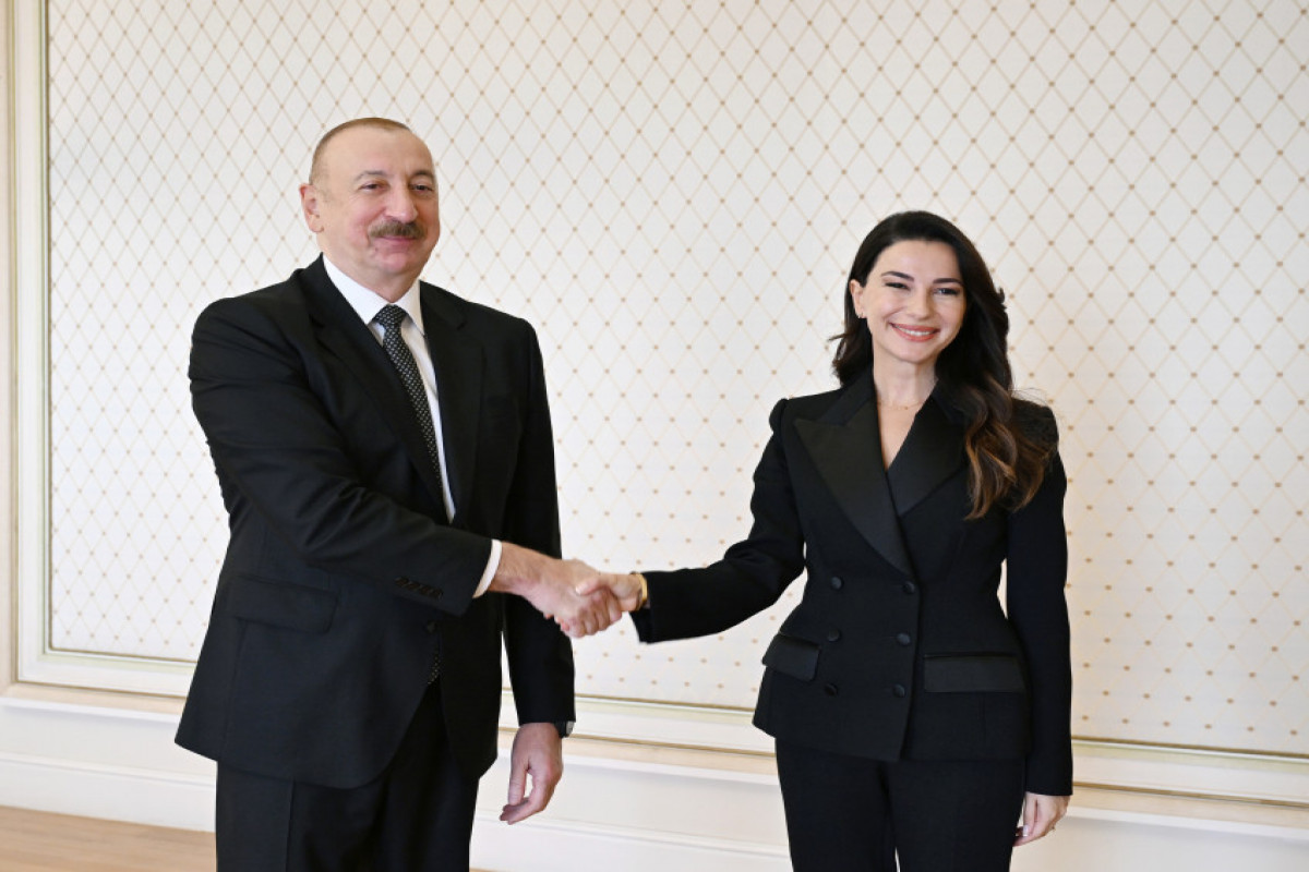 İlham Əliyev Gürcüstanın iqtisadiyyat və davamlı inkişaf nazirini qəbul edib