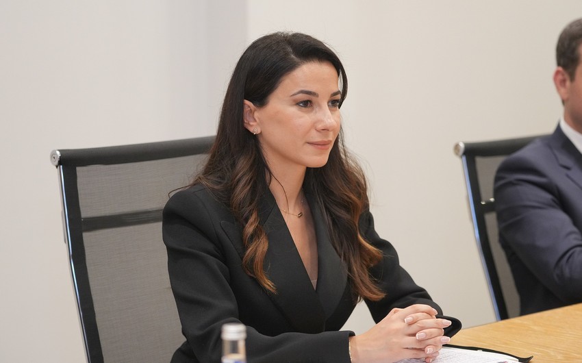 Gürcüstanlı nazir Azərbaycanda keçirdiyi görüşlərdən danışıb