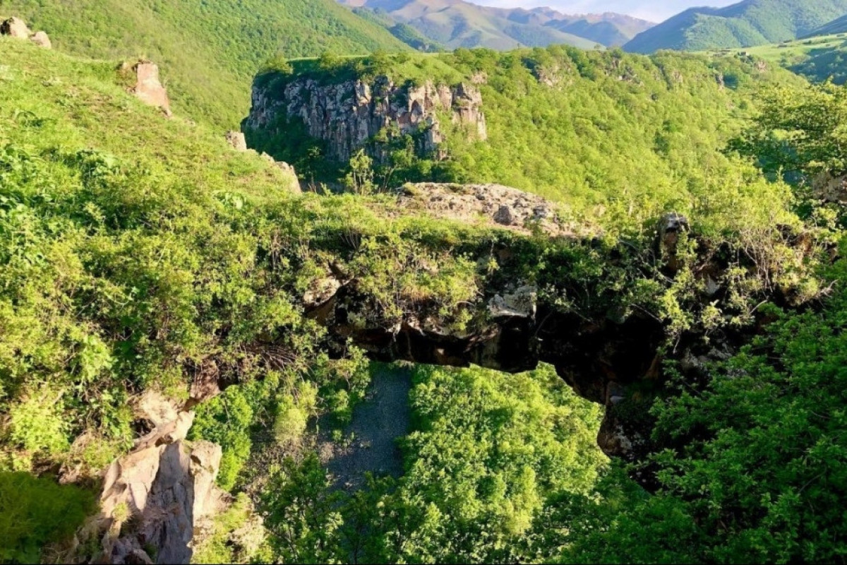 FHN azad edilmiş ərazilərdə artan yanğın təhlükəsinə dair müraciət edib
