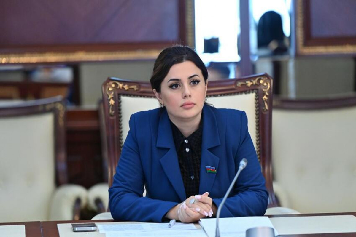 Deputat: Azərbaycan xarici siyasətində daha bir uğura imza atıb
