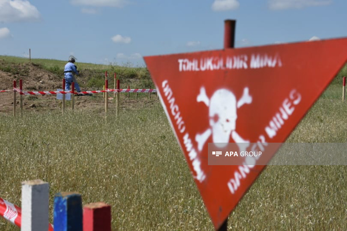 Azad edilmiş ərazilərdə daha 79 mina, 178 PHS aşkarlanıb