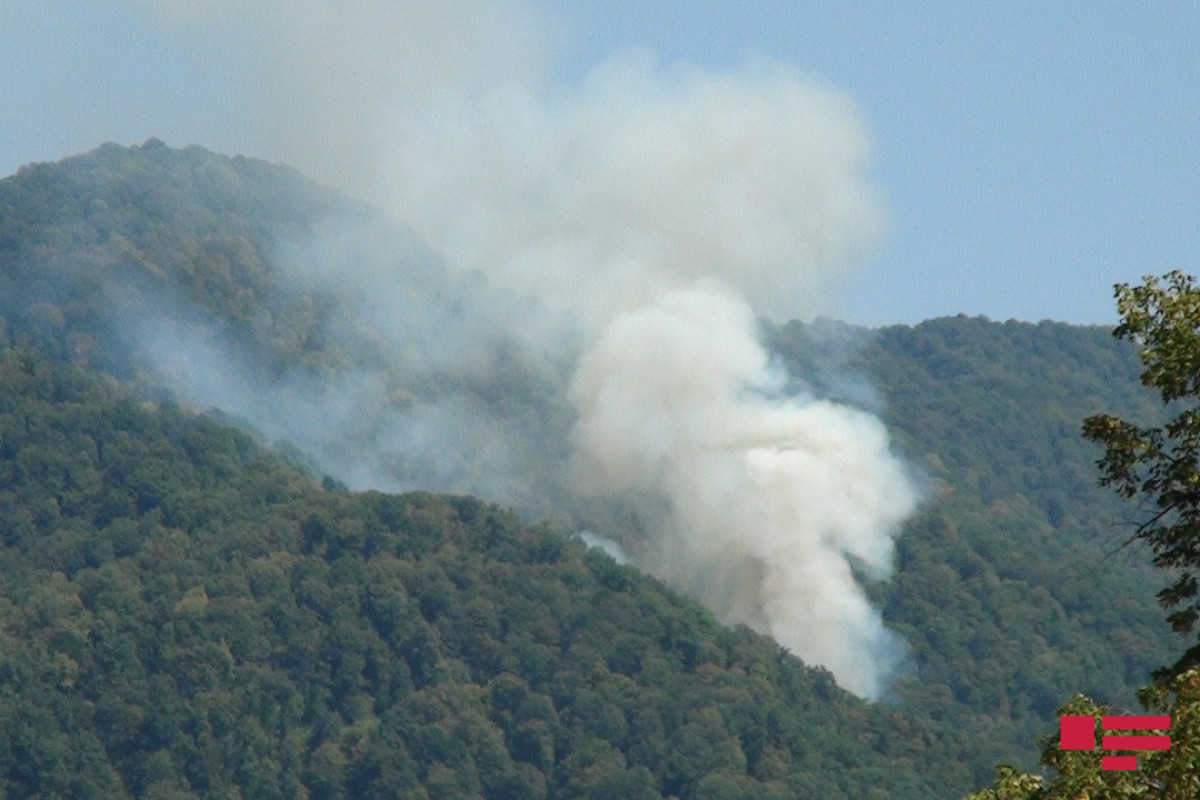 Füzulidə dağlıq ərazidə yanğın başlayıb, helikopter cəlb olunub