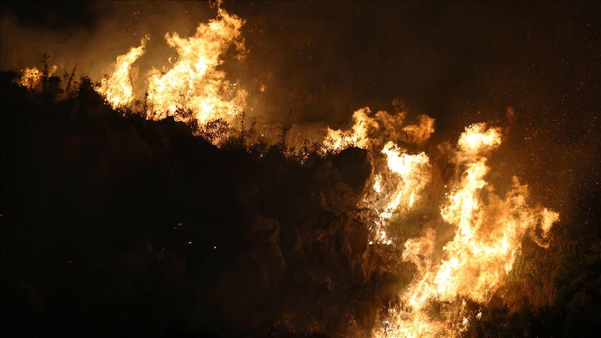 İtaliyanın Siciliya bölgəsində meşə yanğınları davam edir