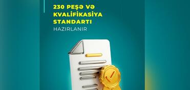 İlin sonunadək 200-dən çox peşə və kvalifikasiya standartı təsdiqlənəcək