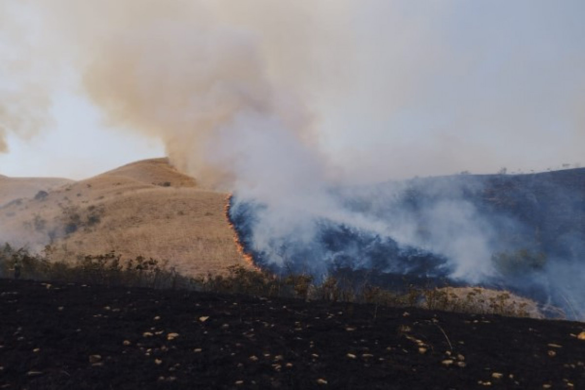 Şəkidə dağlıq ərazidə yanğın başlayıb