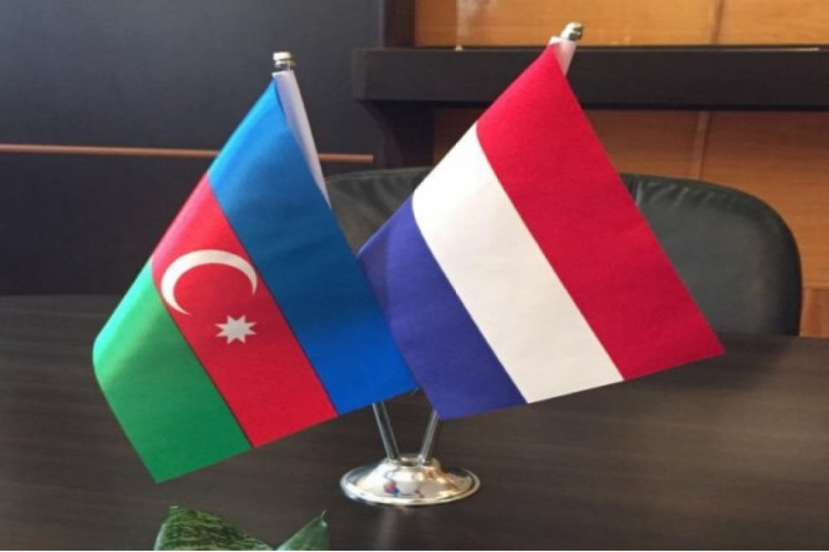 Niderlandın yeni təyin olunmuş səfiri Azərbaycana gəlib