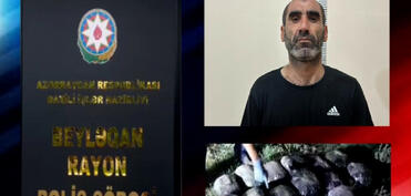 Beyləqanda 16 kiloqram marixuana və həşiş aşkarlanıb