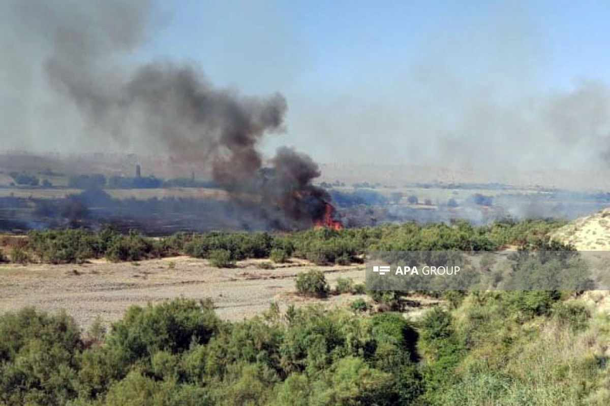 Şəmkirdə açıq ərazidə yanğın başlayıb - FOTO