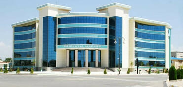 Müayinəyə gələn hamilə Naxçıvan Perinatal Mərkəzində vəfat edib
