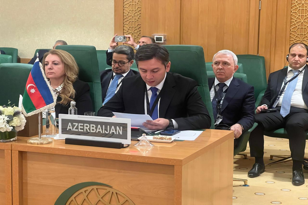 Ceyhun Bayramovun müavini İslam Əməkdaşlıq Təşkilatının Xarici İşlər Nazirləri Şurasının fövqəladə sessiyasında iştirak edir