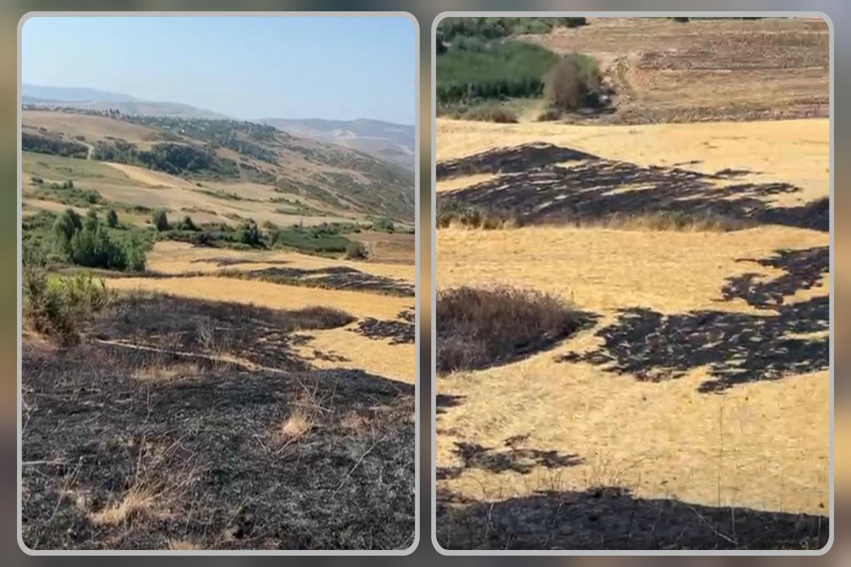Şamaxıda yanğın törədən şəxs məsuliyyətə cəlb olunub
