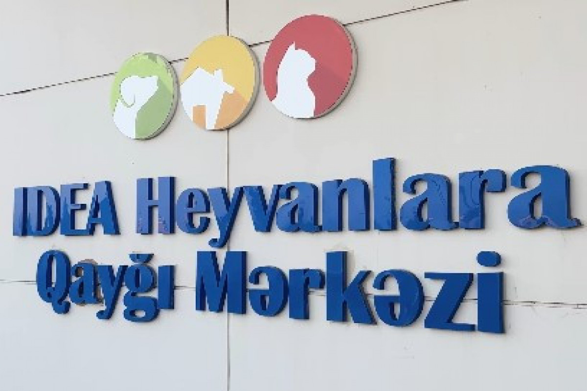 Sumqayıtda 2 dəvəquşu və 13 tutuquşu IDEA tərəfindən xilas edilib