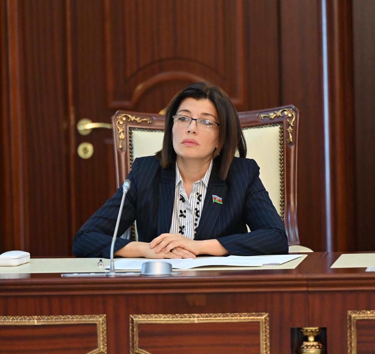 Günay Əfəndiyeva: “Türkoloji Qurultaya və onun ayrı-ayrı mövzularına həsr olunmuş xüsusi dinləmələr təşkil edə bilərik”