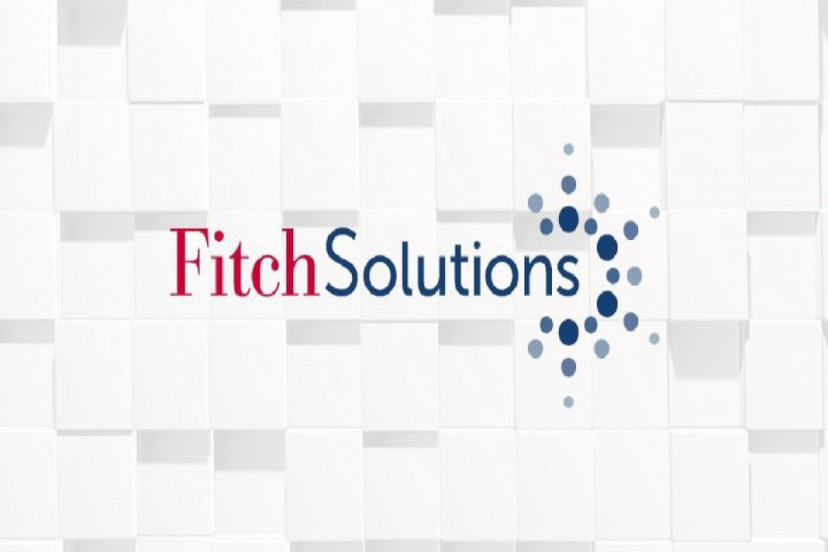Fitch Solutions: Azərbaycanın xarici siyasəti Qarabağ qələbəsindən sonra daha da güclənib