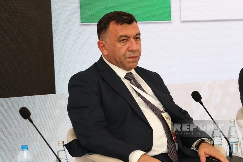 Səməd Bəşirli: "Azərbaycan yüksək əlavə dəyərli məhsullar istehsal etməyə çalışır"