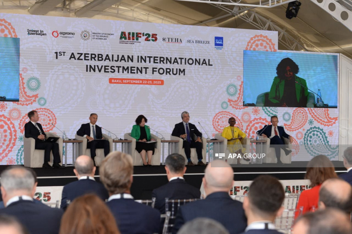 Rolande Pryce: Qara dəniz və Xəzər dənizi mühüm enerji dəhlizləridir