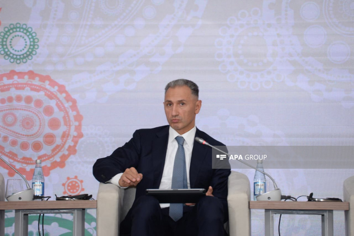 Rəşad Nəbiyev: Zəngəzur dəhlizi Orta Dəhlizin mühüm hissəsinə çevriləcək