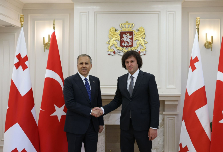 Gürcüstan və Türkiyə rəsmiləri regional təhlükəsizlik məsələlərini müzakirə ediblər