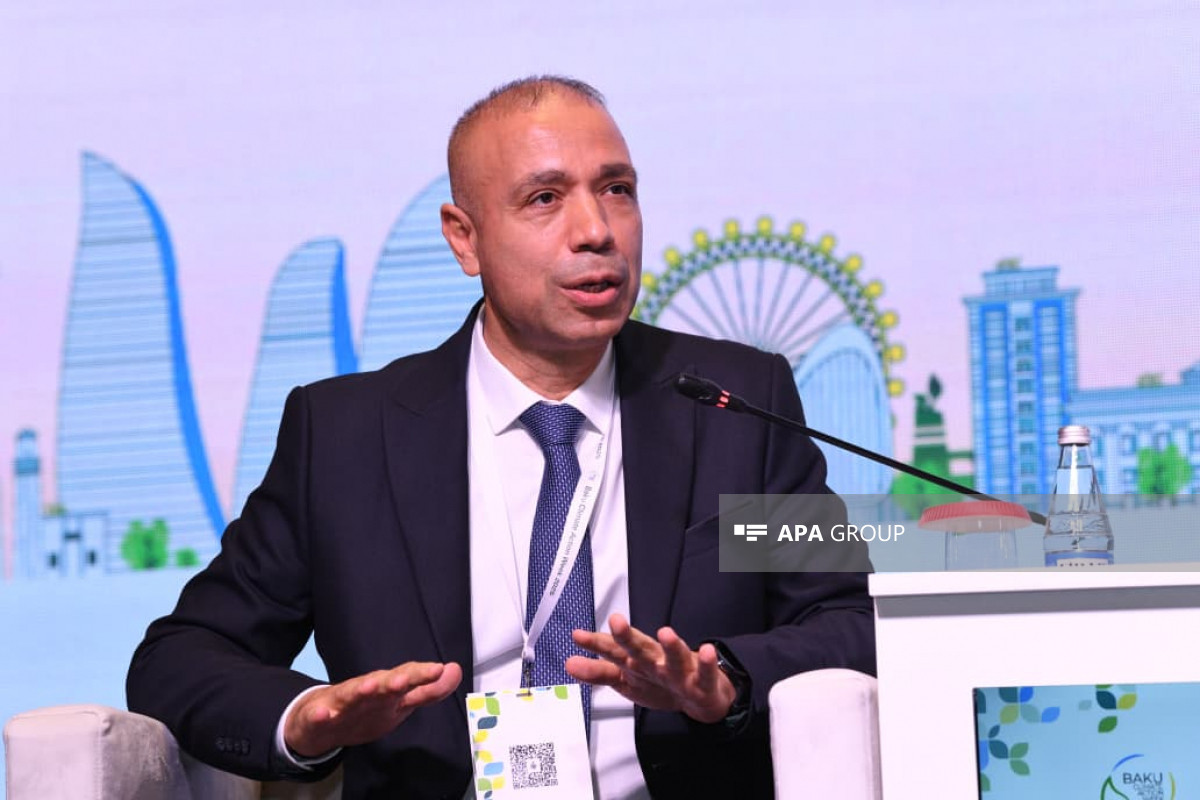 Nazir müavini: Əvvəllər neft və qazdan toplanmış maliyyə indi yaşıl keçid prosesinə yönəldilir