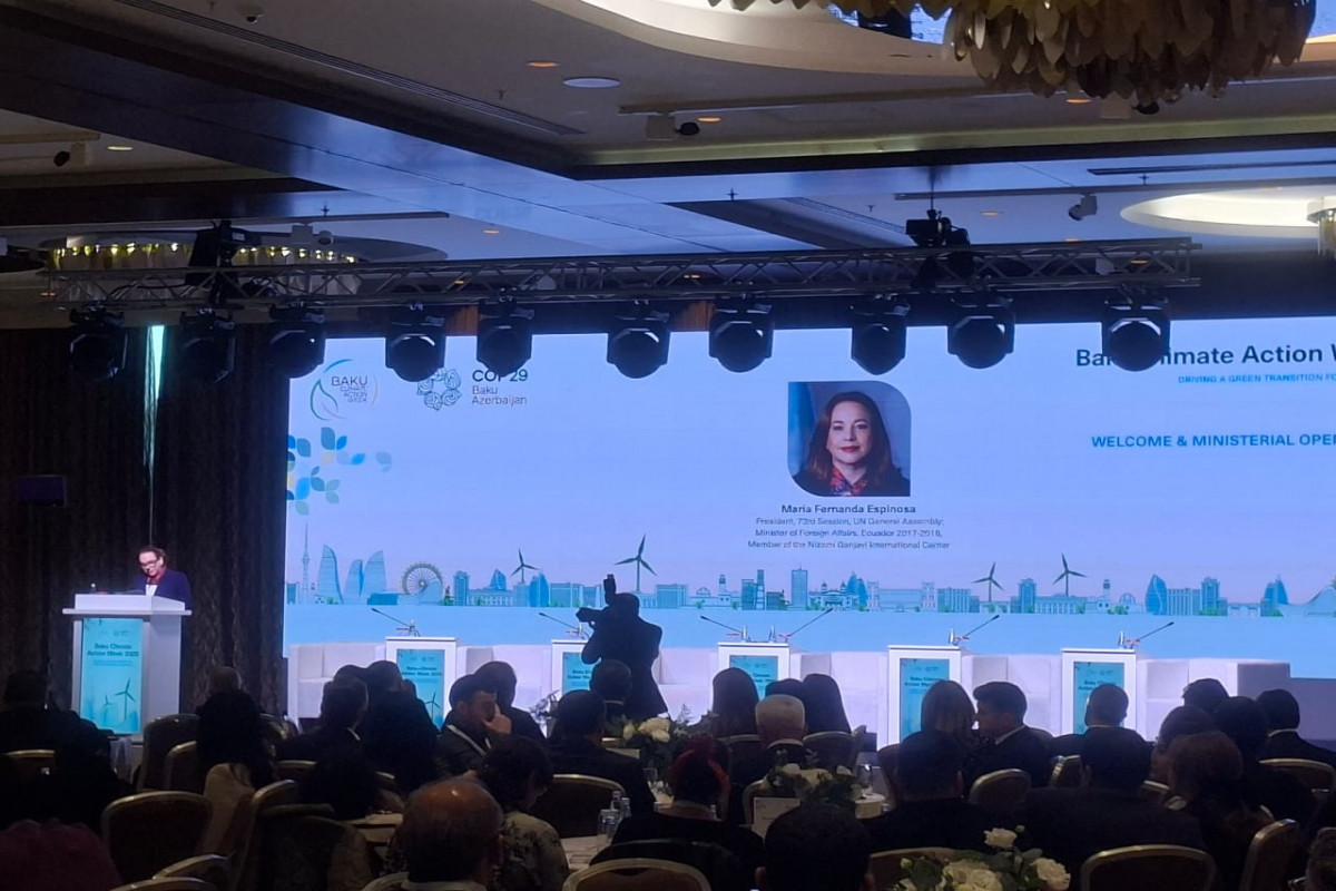 Ekvadorun xarici işlər naziri : COP29-dakı liderlik bu gün COP30 hazırlıqlarında görünür