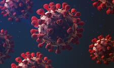 COVID-19 və Grip A epidemiyası: Sevilyada 4 nəfər həyatını itirib
