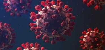 COVID-19 və Grip A epidemiyası: Sevilyada 4 nəfər həyatını itirib