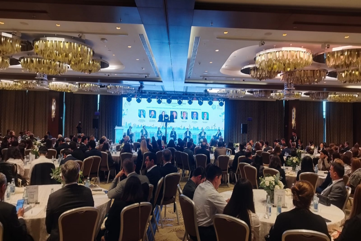 Pərviz Şahbazov: Azərbaycanın regional enerji keçidinin növbəti mərhələsi yaşıl enerji dəhlizlərinin yaradılmasına əsaslanır