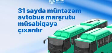 AYNA 31 sayda müntəzəm avtobus marşrutunun müsabiqəyə çıxarır