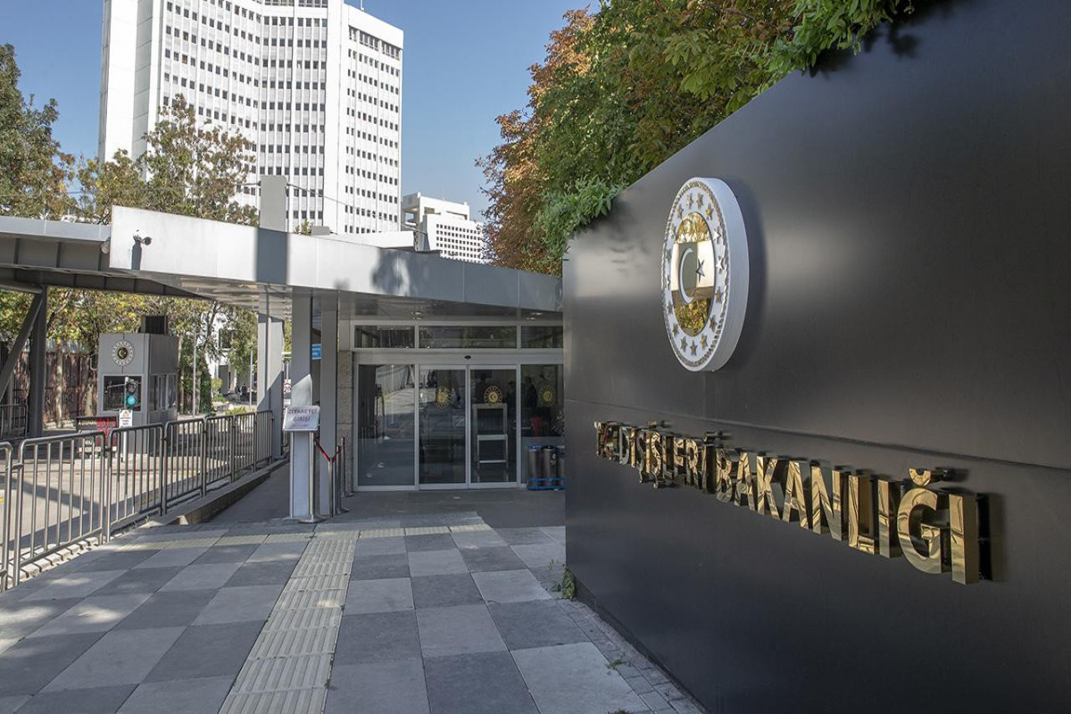 İsrailin saxladığı 36 türk aktivisi ölkələrinə qayıdıb - YENİLƏNİB