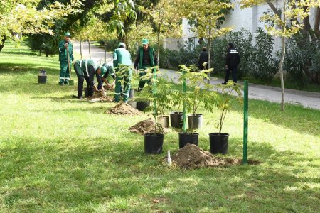 Paytaxtda növbəti təmizlik işləri aparılıb