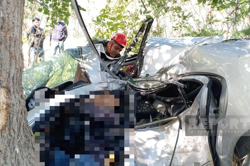 Şabranda avtomobil ağaca çırpılıb, sürücü ölüb