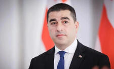 Gürcü spiker Prezident sarayına basqını terror adlandırıb