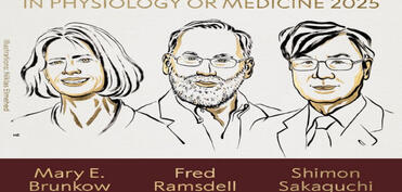 Fiziologiya və ya tibb üzrə “Nobel” mükafatı laureatları məlum olub