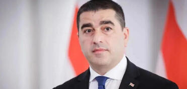 Gürcü spiker Prezident sarayına basqını terror adlandırıb