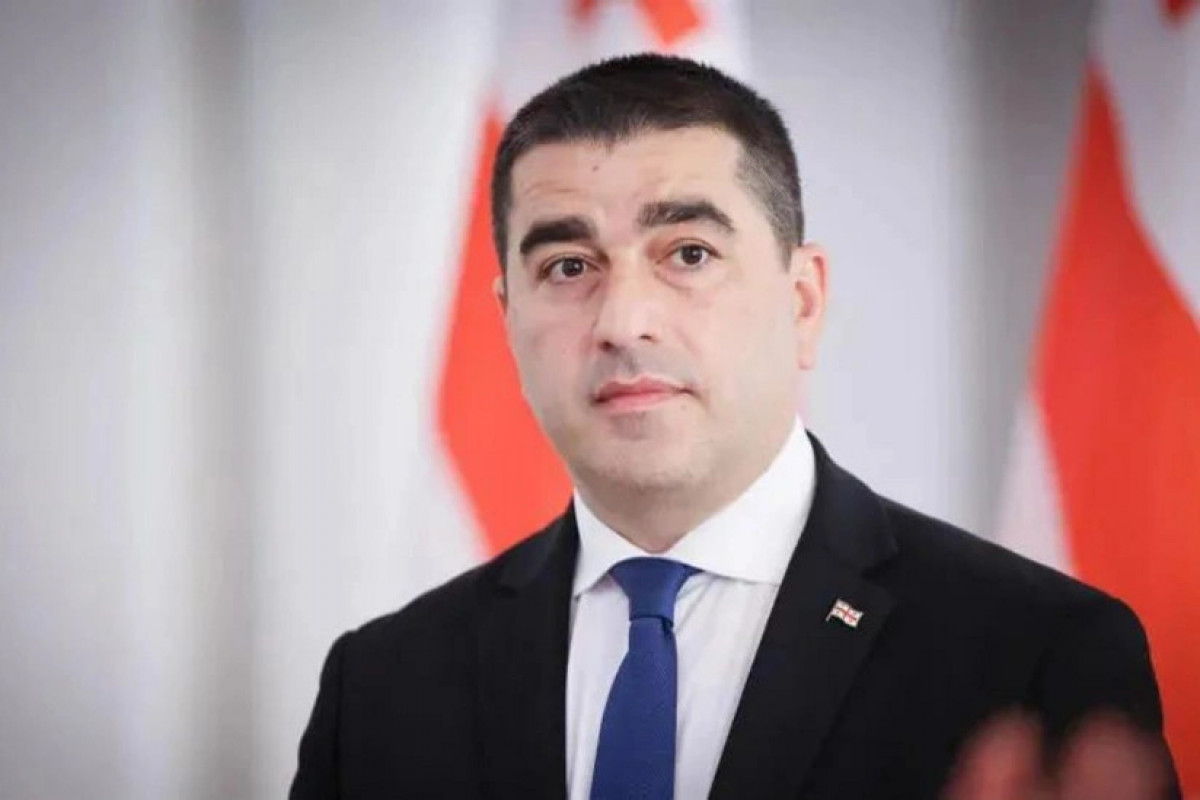 Gürcü spiker Prezident sarayına basqını terror adlandırıb