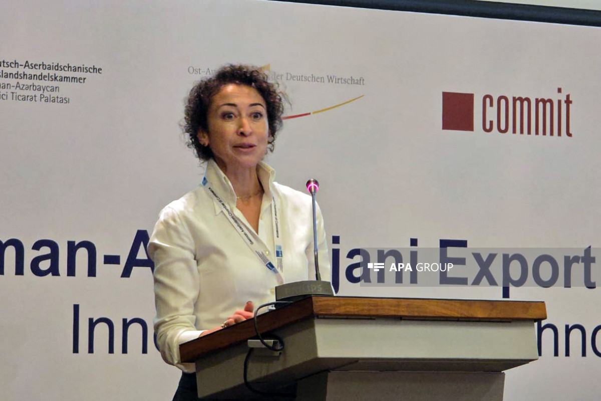 Nargis Vik: Alman şirkətləri Azərbaycanın iqtisadi inkişafından kifayət qədər məlumatlı deyil