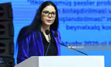Ana Birçal: Azərbaycanın itkin düşmüş şəxslərlə bağlı beynəlxalq əməkdaşlıqda təcrübəsi nümunədir