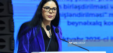 Ana Birçal: Azərbaycanın itkin düşmüş şəxslərlə bağlı beynəlxalq əməkdaşlıqda təcrübəsi nümunədir