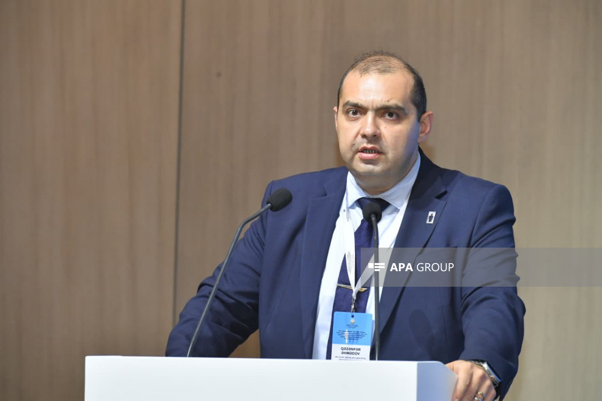 Azərbaycan itkinlərlə bağlı yüksək təcrübəsi olan dövlətlərlə əməkdaşlıqda maraqlıdır