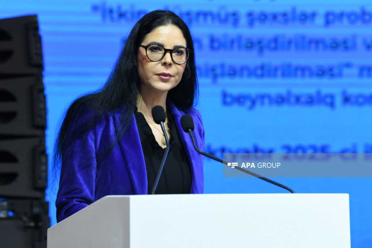 Ana Birçal: Azərbaycanın itkin düşmüş şəxslərlə bağlı beynəlxalq əməkdaşlıqda təcrübəsi nümunədir